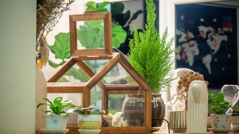 How to Decorate Your Home with Indoor Plants