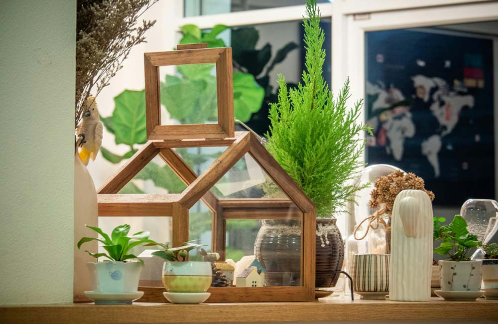 How to Decorate Your Home with Indoor Plants