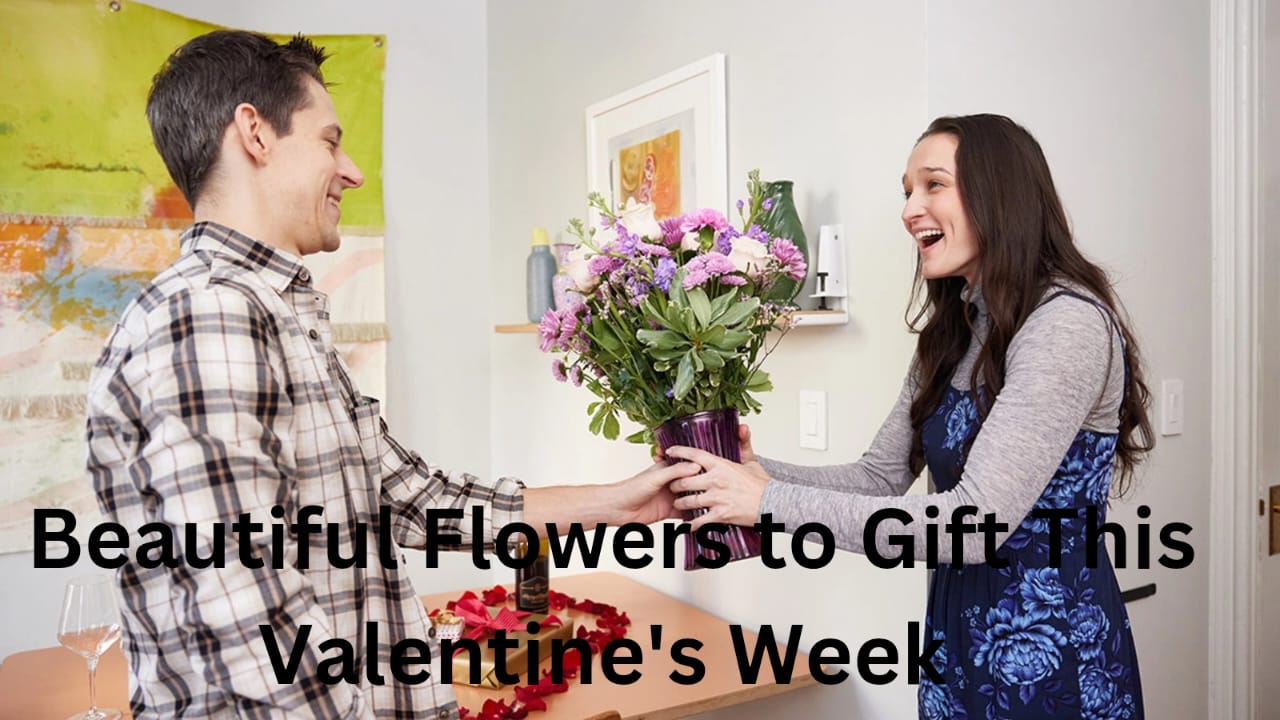 10 Beautiful Flowers to Gift This Valentine’s Week